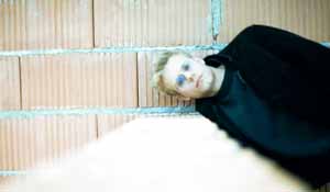 Selbstportrait des Autors