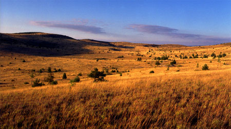 Causse Mejean