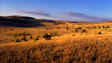 Frankreich, Causse Mejean